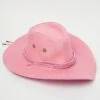 Pink Cowboy Hat
