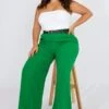 Green Wide Leg Pants High Waist Button Front
