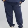 Blue Embroidered Elastic Waist Track Pants