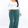 Green Textured Georgette Lined Wide Leg Pants