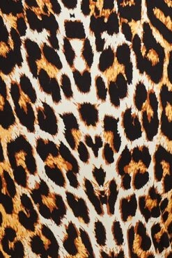 Animal Print Wide Leg Pants High Rise Full Length -You And All Fashion Store cbt31610 46ab animal prt 6