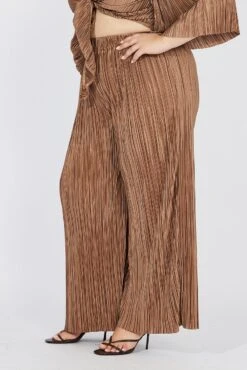 Brown Plisse Pants Wide Leg High Rise -You And All Fashion Store cbt8224gx 36pb brown 4