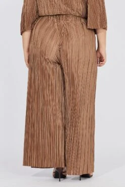 Brown Plisse Pants Wide Leg High Rise -You And All Fashion Store cbt8224gx 36pb brown 5