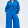Blue Wide Leg Pants Crinkle Texture