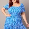 Blue Ditsy Shirred Frill Minidress
