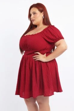 Red Textured Shirred Waist Frill Sleeve Minidress -You And All Fashion Store cdd1698 35a burgundy 3