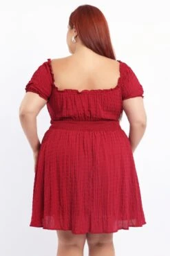 Red Textured Shirred Waist Frill Sleeve Minidress -You And All Fashion Store cdd1698 35a burgundy 4