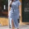 Denim Button Thru Short Slv Denim Dress