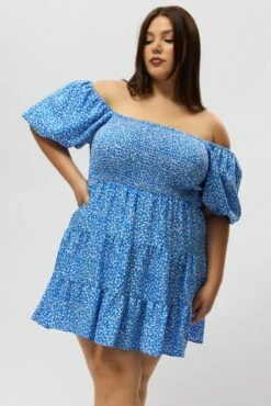 Blue Ditsy Shirred Bodice Puff Sleeve Mini Dress