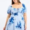 Blue Floral Shirred Back Scoop Tie Neck Minidress