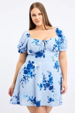 Blue Floral Shirred Back Scoop Tie Neck Minidress
