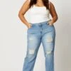 Blue Jean Mid Rise Distressed Boyfriend