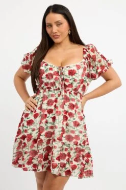 Red Floral Lace Trim Sweetheart Frill Minidress