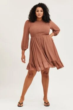 Brown Skater Dress Round Neck Long Sleeve Shirred -You And All Fashion Store ced31552 43ab rust 2 1 1
