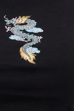 Black Crop Top Dragon Print Rib Short Sleeve -You And All Fashion Store cjc11371 84a black 6