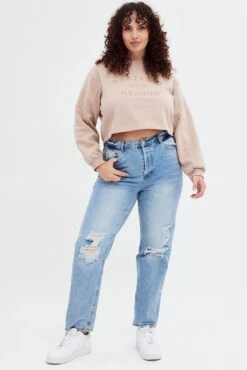 Pink Long Sleeve Portland Embroidered Semi Crop Sweater -You And All Fashion Store cjc31365 84ab mink 2