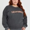 Grey Sleeve Sweatshirt California Crew Neck Long