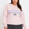 Pink Long Sleeve Baltimore Sweatshirt Top