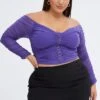 Purple Corset Top Mesh Long Sleeve Hook And Eye Closure