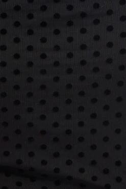 Black Short Sleeve Spot Mesh Bodysuit -You And All Fashion Store cjd25489 47a black 6