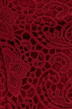 Red Bodysuit V Scalloped Neck Strappy Lace -You And All Fashion Store cjd31708 36a wine 6