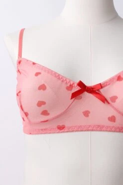 Pink Mesh Lingerie Set In Heart Print -You And All Fashion Store cwl000199 51b pink 3